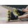 Playlife Inline Skate Fitness Lancer Black 84 schwarz Größe 40